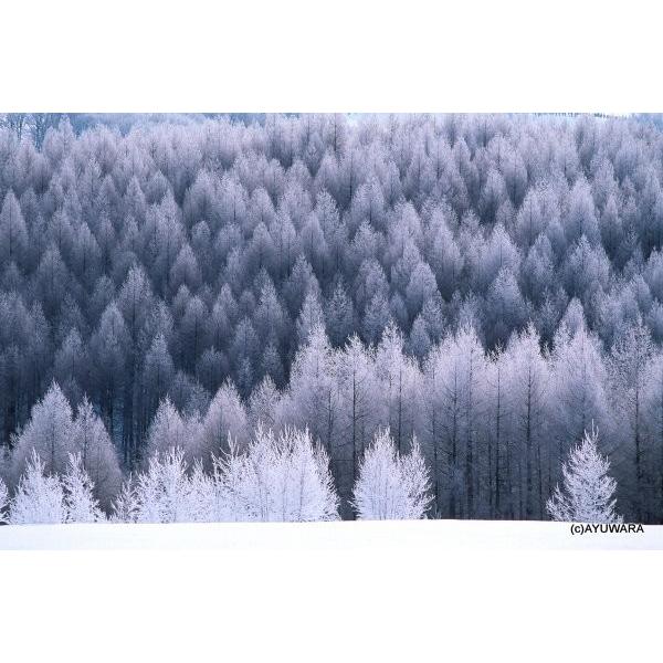 A[gtHg G Ǌ| xXg X̐X1 ^ G Ǌ| Ǐ CeA G  A[gpl |X^[ G z rO 