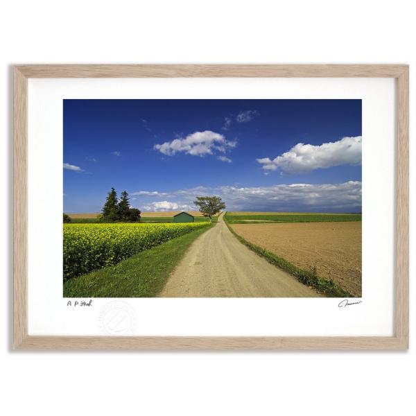 ayuwara_tm-0154-ny