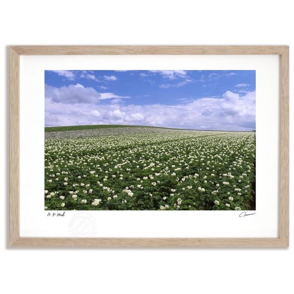 花 デザイン おしゃれの人気商品 通販 価格比較 価格 Com