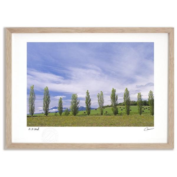 アートフォト 絵画 壁掛け 日の出 レンズフレアの日輪 富良野 美瑛