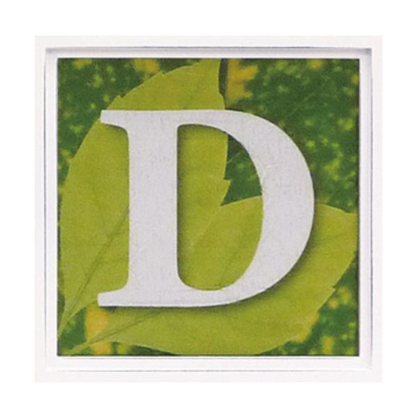 A[gt[ At@xbg A[gt[ O[ G Ǌ| Ǐ CeA G  A[gpl |X^[ G z rO 