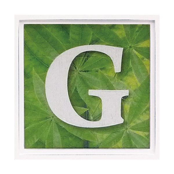 A[gt[ At@xbg A[gt[ O[ G Ǌ| Ǐ CeA G  A[gpl |X^[ G z rO 
