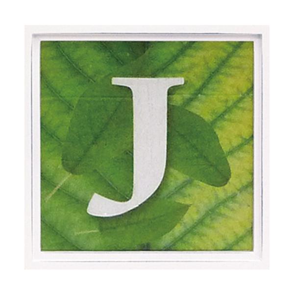 A[gt[ At@xbg A[gt[ O[ G Ǌ| Ǐ CeA G  A[gpl |X^[ G z rO 