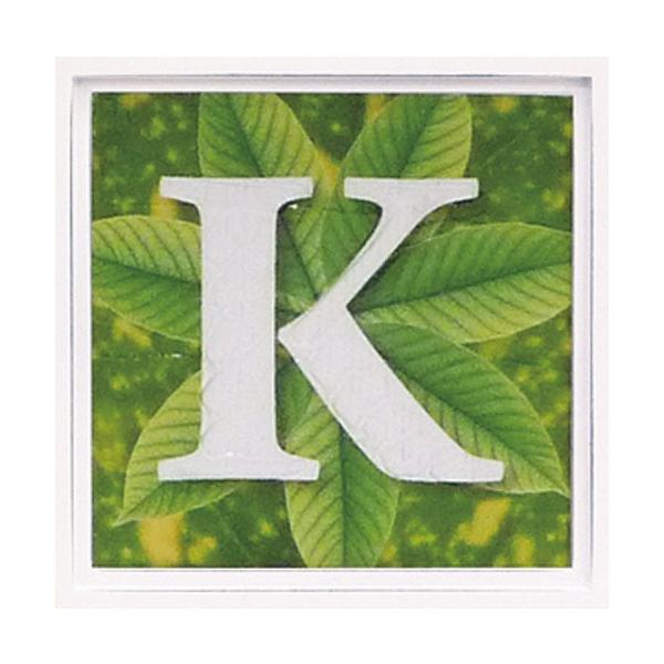 A[gt[ At@xbg A[gt[ O[ G Ǌ| Ǐ CeA G  A[gpl |X^[ G z rO 