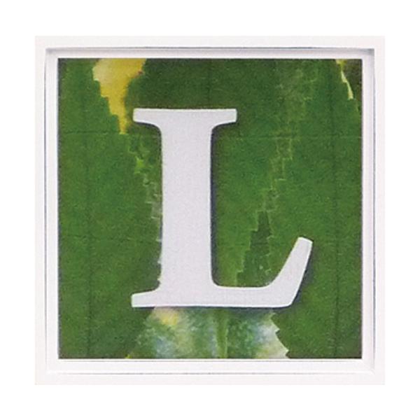 A[gt[ At@xbg A[gt[ O[ G Ǌ| Ǐ CeA G  A[gpl |X^[ G z rO 