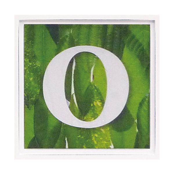 A[gt[ At@xbg A[gt[ O[ G Ǌ| Ǐ CeA G  A[gpl |X^[ G z rO 