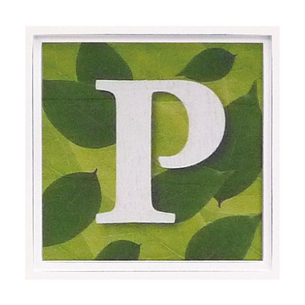 A[gt[ At@xbg A[gt[ O[ G Ǌ| Ǐ CeA G  A[gpl |X^[ G z rO 