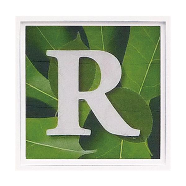 A[gt[ At@xbg A[gt[ O[ G Ǌ| Ǐ CeA G  A[gpl |X^[ G z rO 