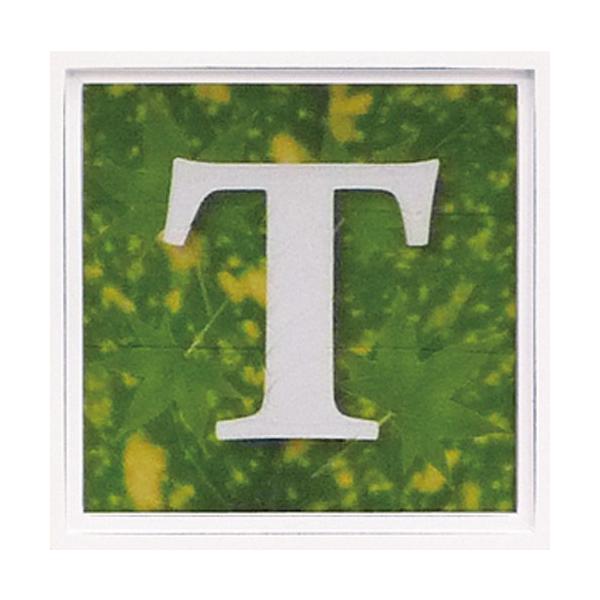 A[gt[ At@xbg A[gt[ O[ G Ǌ| Ǐ CeA G  A[gpl |X^[ G z rO 