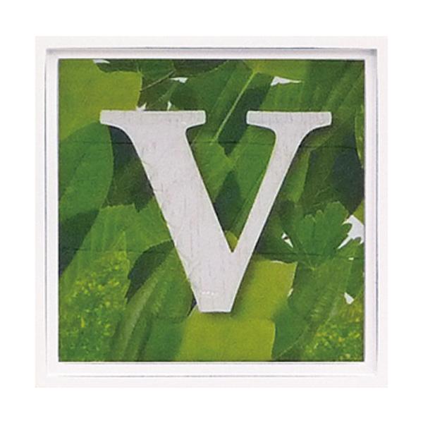 A[gt[ At@xbg A[gt[ O[ G Ǌ| Ǐ CeA G  A[gpl |X^[ G z rO 