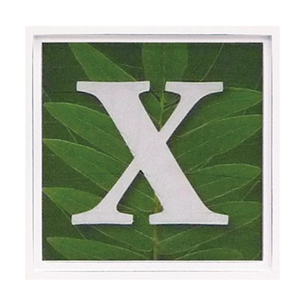 A[gt[ At@xbg A[gt[ O[ G Ǌ| Ǐ CeA G  A[gpl |X^[ G z rO 