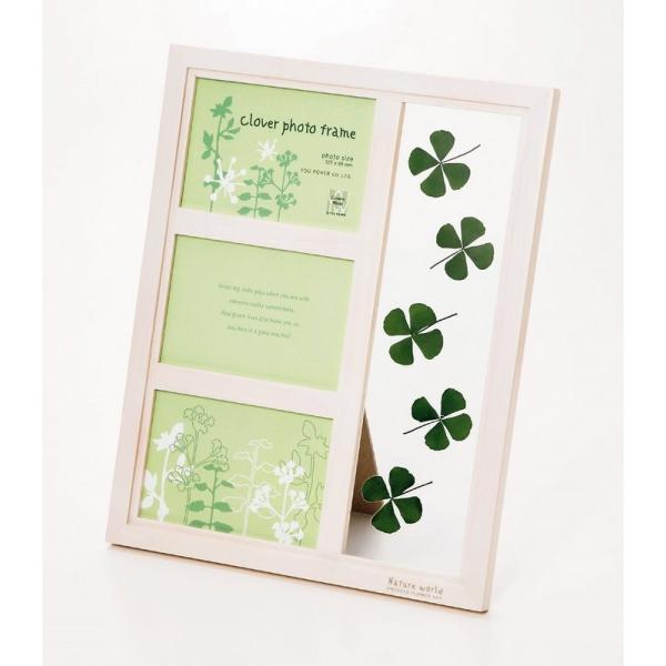 N[o[ tHgt[ 3EBh[EzCg G Ǌ| Ǐ CeA G  A[gpl |X^[ G z rO 