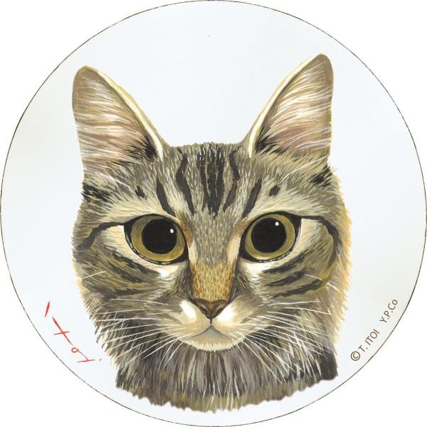 Ǌ| 䒉 ؐEhA[gugiLTCYjv 䂤pPbg G CeA Ǌ| A[g z Mtg rO 