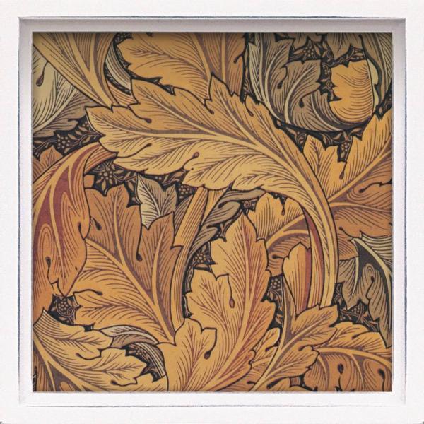 G nX ~jA[gt[ EBA XuAJTXv CeA  zt Ǐ A   t[ A[g Mtg