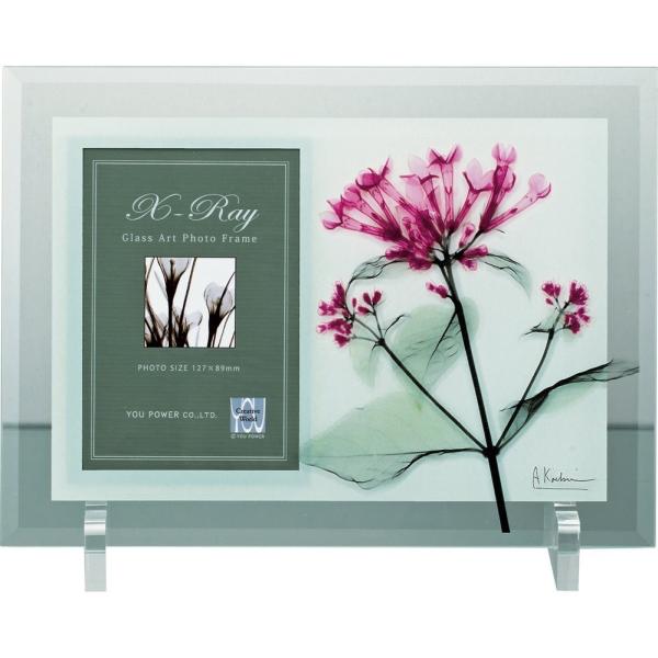 tHgt[X RAY tHgt[uuofBAv䂤pPbg CeA  XtHg rO  Q v[g  R _