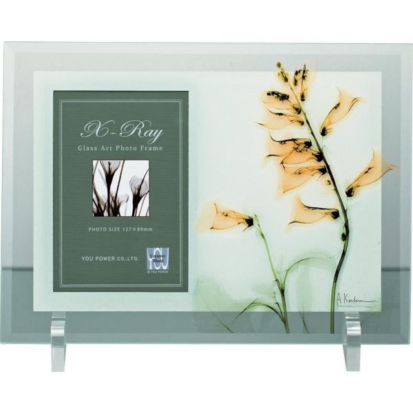 tHgt[X RAY tHgt[uTrAv䂤pPbg CeA  XtHg rO  Q v[g  R _