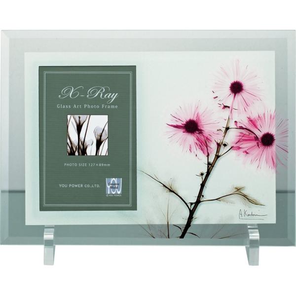 tHgt[X RAY tHgt[uEBh~v䂤pPbg CeA  XtHg rO  Q v[g  R _