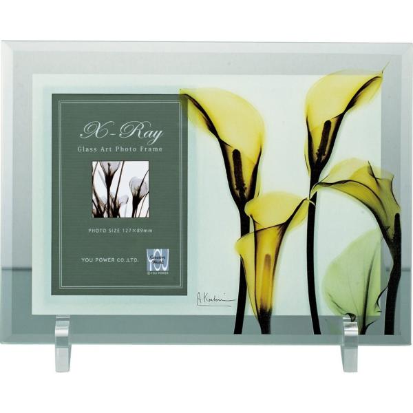 tHgt[X RAY tHgt[uJ[v䂤pPbg CeA  t[ XtHg rO  Q v[g  R _