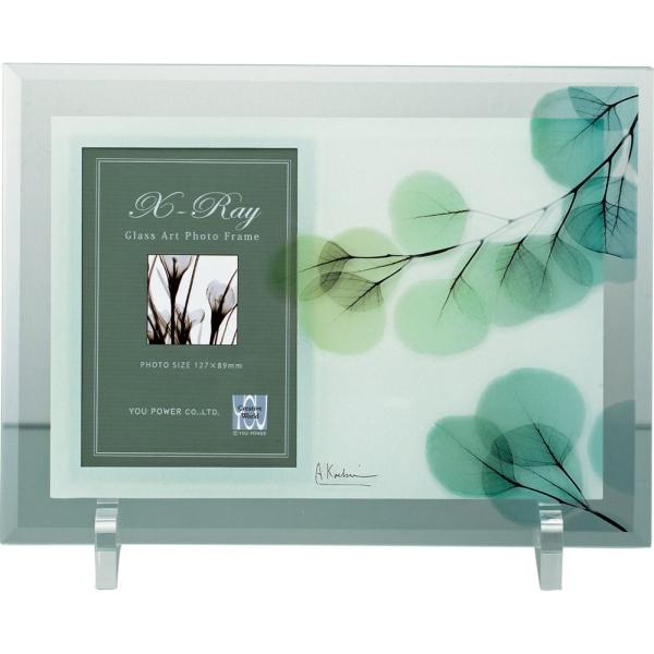 tHgt[X RAY tHgt[u[Jv䂤pPbg CeA  t[ XtHg rO  Q v[g  R _