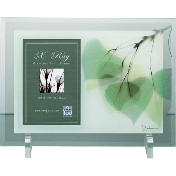 tHgt[X RAY tHgt[u[t1v䂤pPbg CeA  t[ XtHg rO  Q v[g  R _