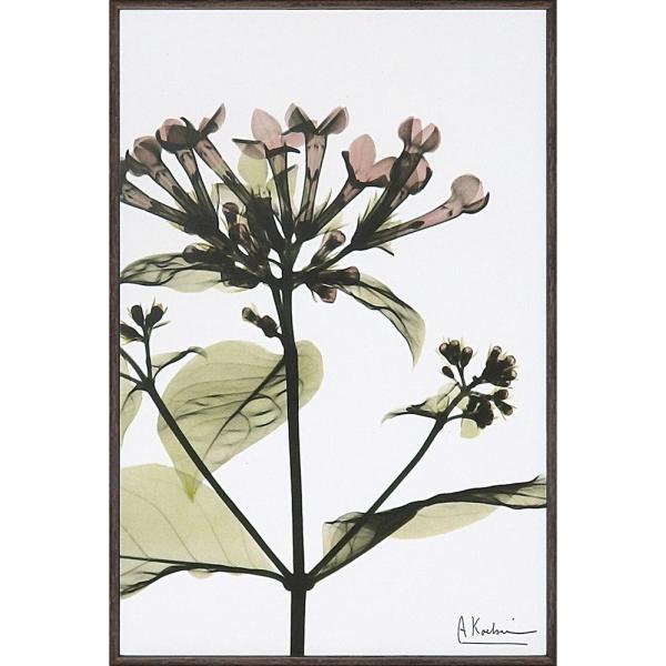 LoXA[gX RAY LoXA[guuofBAiSTCYjvCeA Vv_ mg[ A[gpl rO 