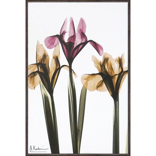 LoXA[gX RAY LoXA[guACXiSTCYjvCeA Vv_ mg[ A[gpl rO 