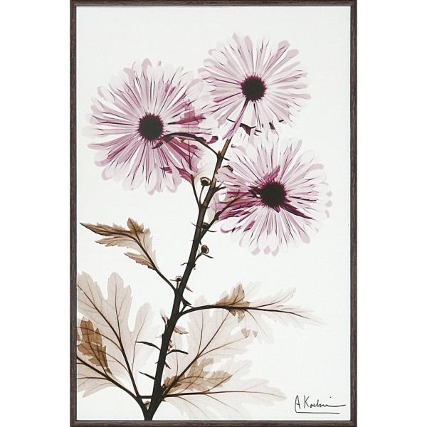 LoXA[gX RAY LoXA[guEBh~iSTCYjvCeA Vv_ mg[ A[gpl rO 