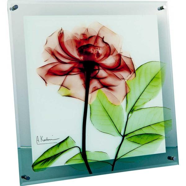 gQA[g X RAY KX A[gu[Y(MTCY)v G Ǌ| Ǐ CeA