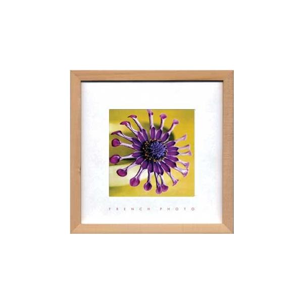 A[gt[ Violet,Green(t`tHgOtB[ oCIbgAO[) 䂤pPbg G Ǌ| Ǐ CeA