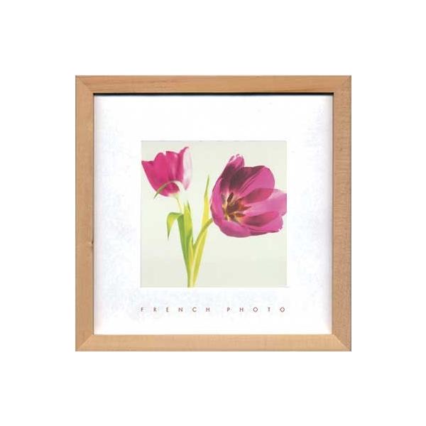 A[gt[ t` tHgOtB[ p[v `[bv 䂤pPbg G Ǌ| Ǐ CeA