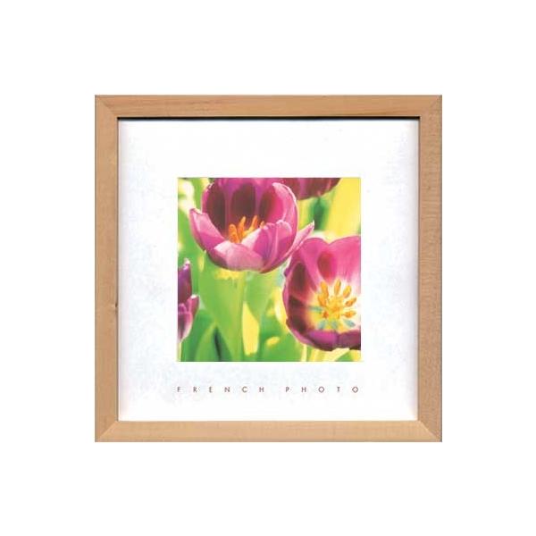 A[gt[ t` tHgOtB[ `[bv 䂤pPbg G Ǌ| Ǐ CeA