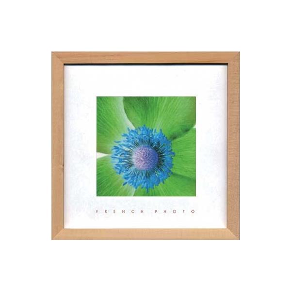 A[gt[ t` tHgOtB[ All Co[g 䂤pPbg G Ǌ| Ǐ CeA