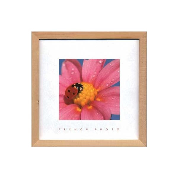 A[gt[ t` tHgOtB[ fBo[hiegEj 䂤pPbg G Ǌ| Ǐ CeA