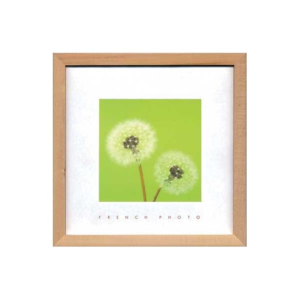 A[gt[ t` tHgOtB[ _fCI 䂤pPbg G Ǌ| Ǐ CeA