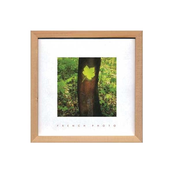 A[gt[ t` tHgOtB[ [v [t 䂤pPbg G Ǌ| Ǐ CeA