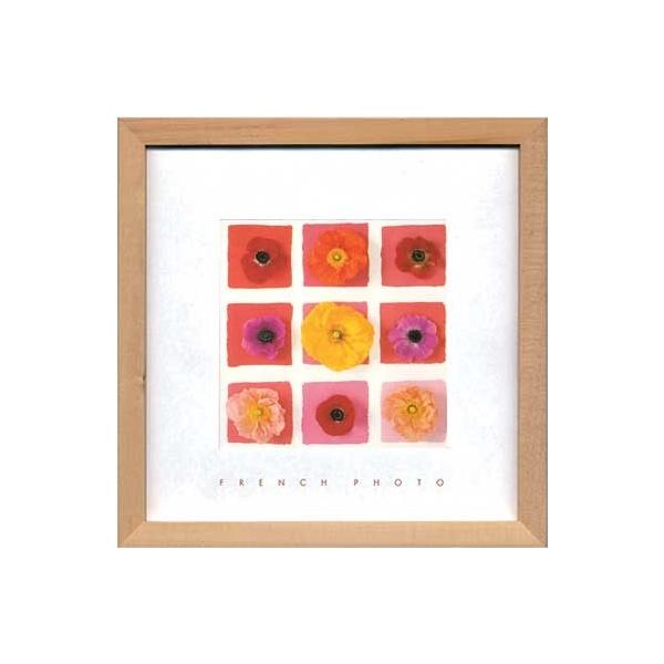 A[gt[ t` tHgOtB[ iC t[ I iC XNGA 䂤pPbg G Ǌ| Ǐ CeA