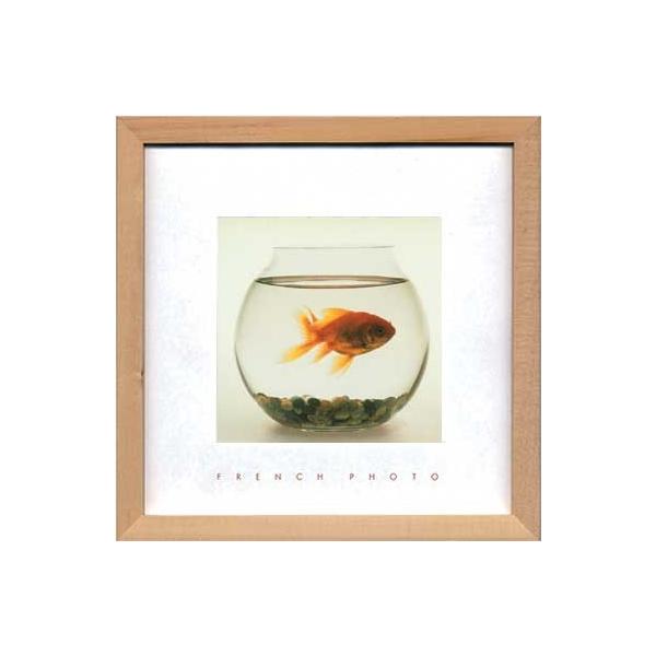 A[gt[ t` tHgOtB[ tBbV C qY {E 䂤pPbg G Ǌ| Ǐ CeA