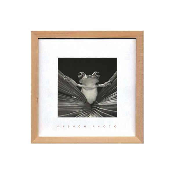 A[gt[ t` tHgOtB[ c[ tbO NC[ 䂤pPbg G Ǌ| Ǐ CeA