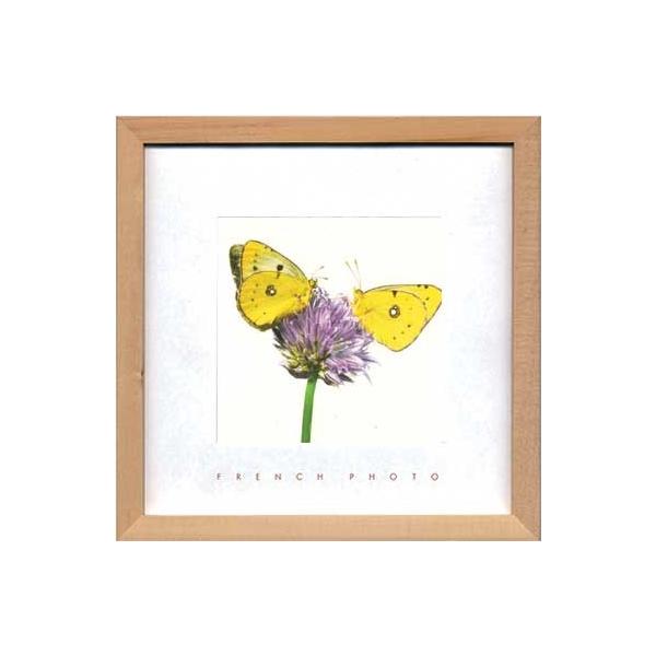 A[gt[ t` tHgOtB[ CG[ o^tC 䂤pPbg G Ǌ| Ǐ CeA