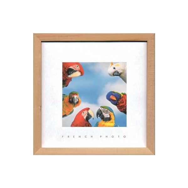 A[gt[ t` tHgOtB[ ~[eBO C J[ 䂤pPbg G Ǌ| Ǐ CeA