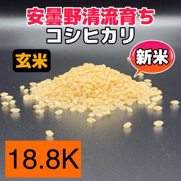 コシヒカリ 【令和7年産】【コシヒカリ玄米18.8kg】北アルプスの清水で