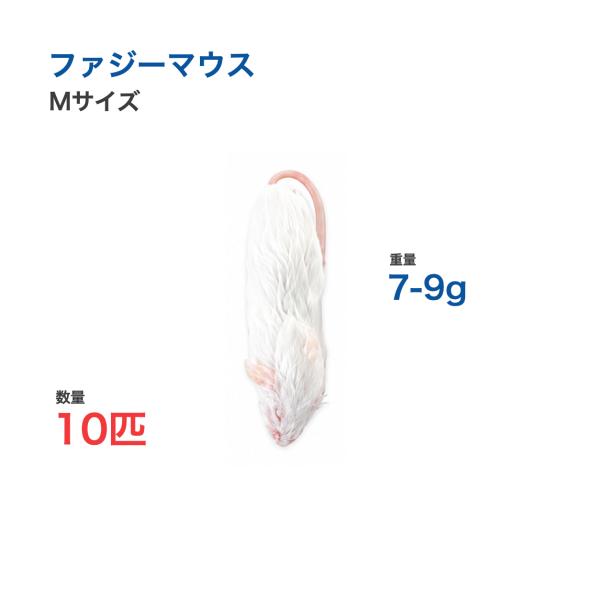 国産 冷凍 マウス ファジーマウス M 7-9g 10匹 個別包装 爬虫類 猛禽類 餌