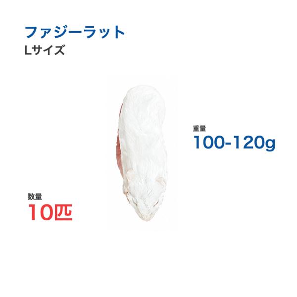 国産 冷凍 ラット ファジーラット L 100-120g 10匹 個別包装 爬虫類 猛禽類 餌