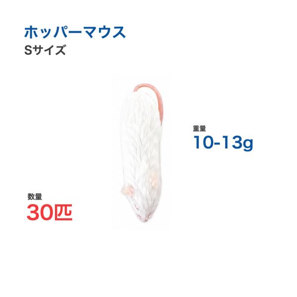 国産 冷凍 マウス ホッパーマウス S 10-13g 30匹 個別包装 爬虫類 猛禽類 餌