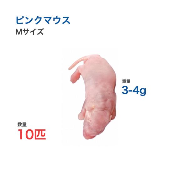 国産 冷凍 マウス ピンクマウス M 3-4g 10匹 爬虫類 猛禽類 餌