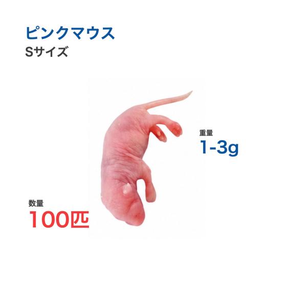 国産 冷凍 マウス ピンクマウス S 1-3g 100匹 爬虫類 猛禽類 餌