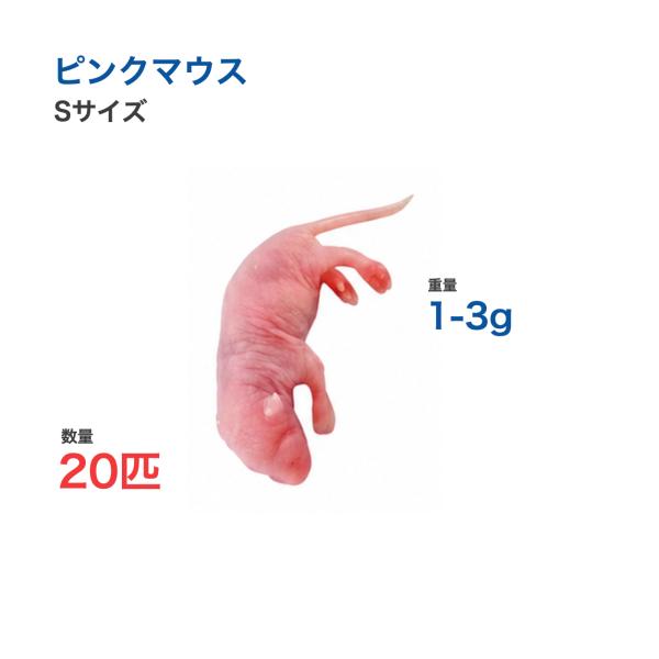国産 冷凍 マウス ピンクマウス S 1-3g 20匹 爬虫類 猛禽類 餌