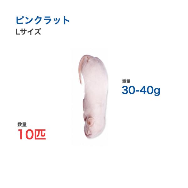 国産 冷凍 ラット ピンクラット L 30-40g 10匹 個別包装 爬虫類 猛禽類 餌