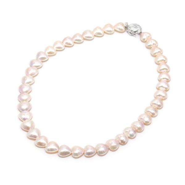azabujuban-blanc_c241100075065