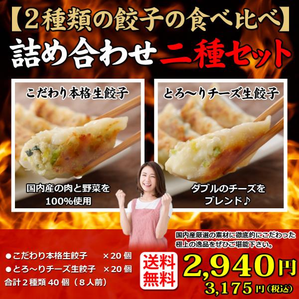 冷凍餃子 生の人気商品・通販・価格比較 - 価格.com